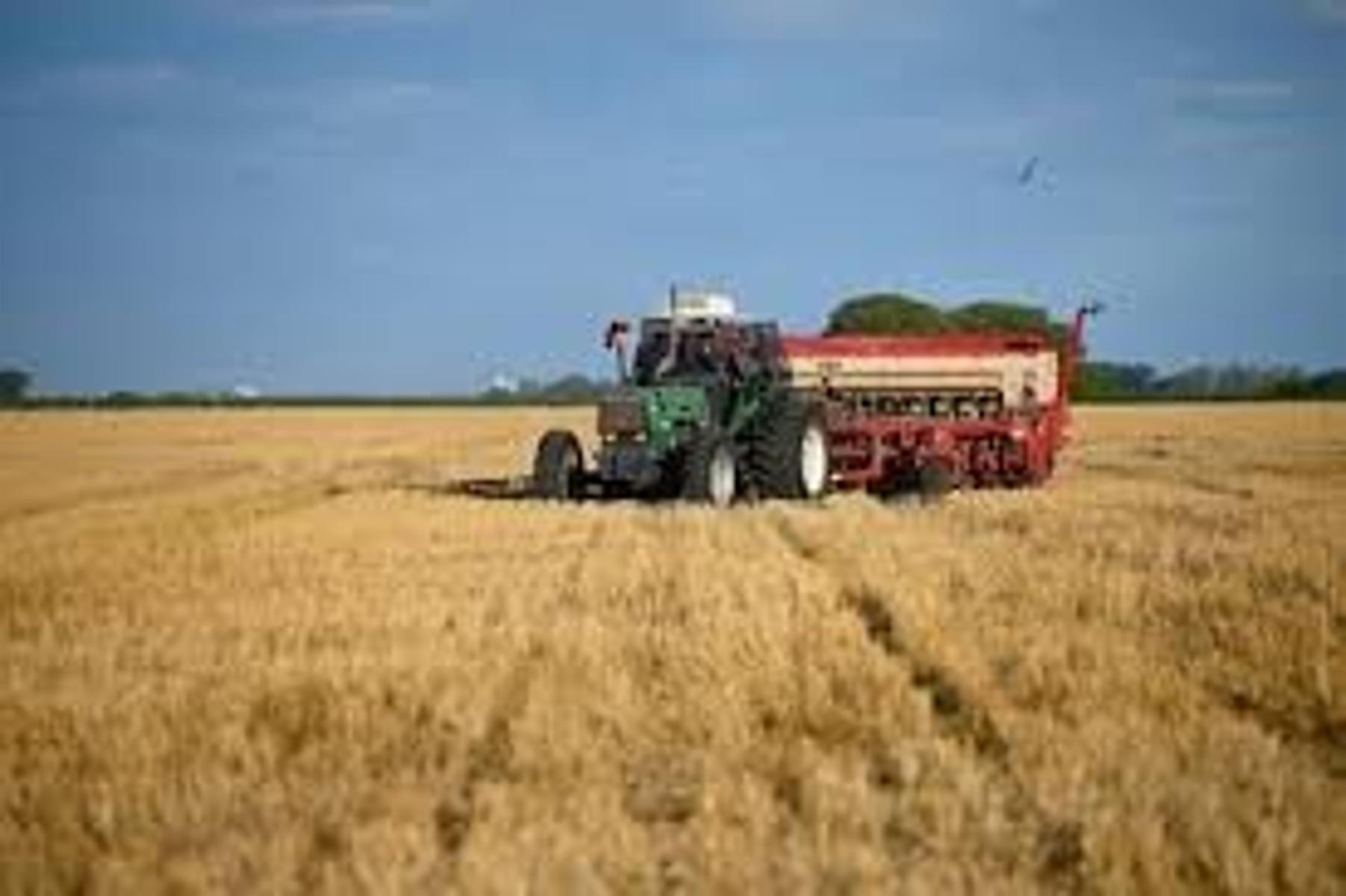 VENDO CAMPO - Hijuela 52HAS