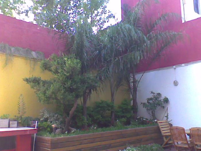 Imagens