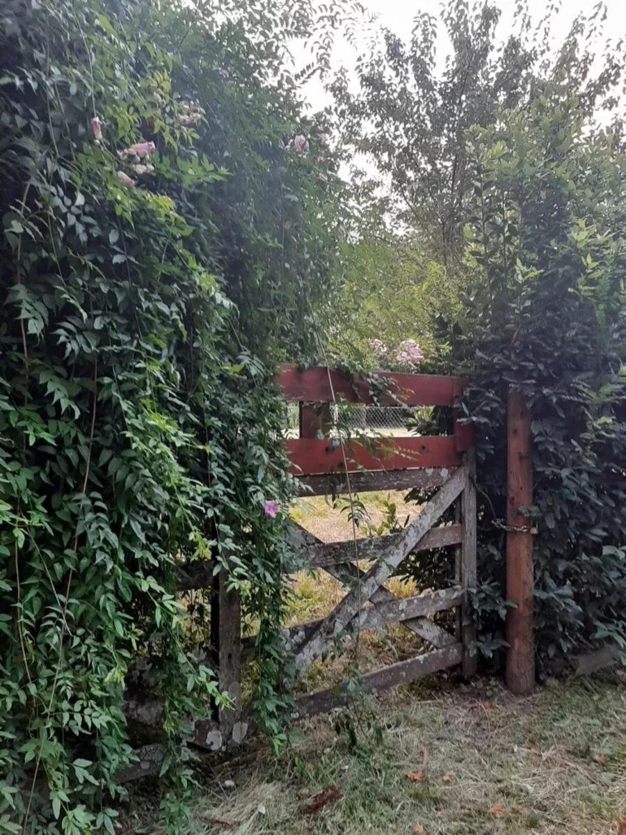 EXCELENTES LOTES EN LOMA VERDE