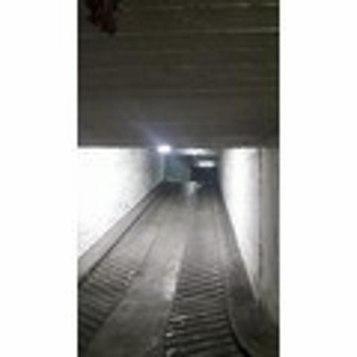 Images