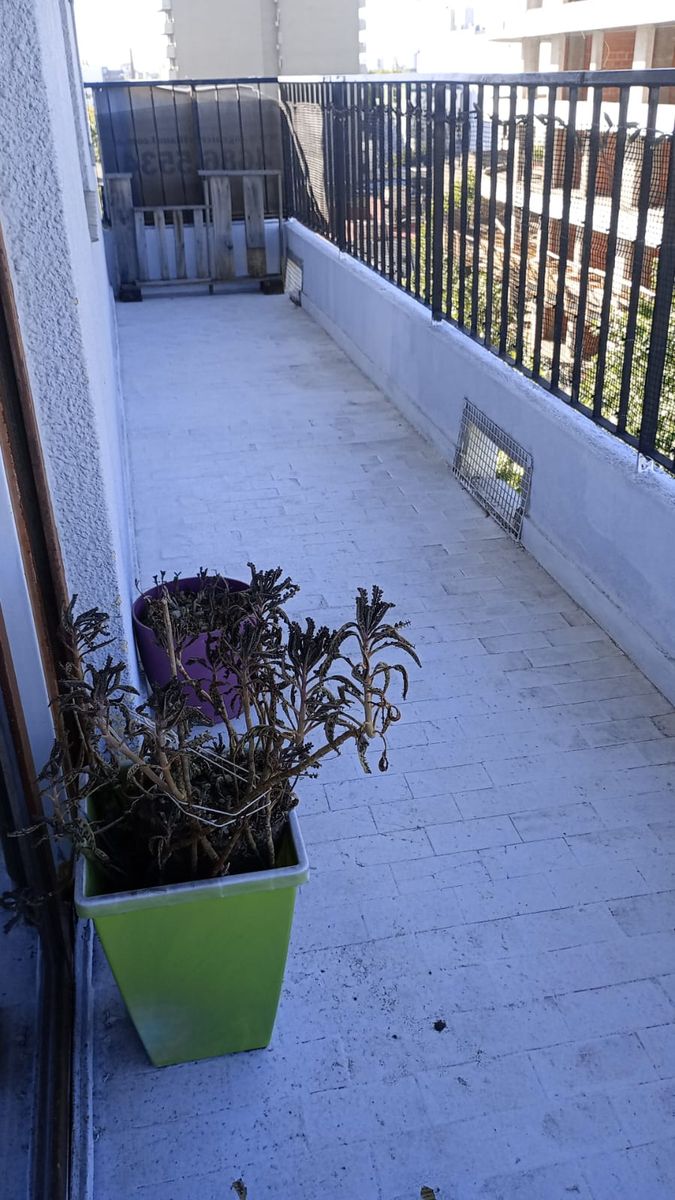 # MIRA ESTO # 5 AMB # BALCON # TERRAZA # FRENTE # A MTS ALBERDI