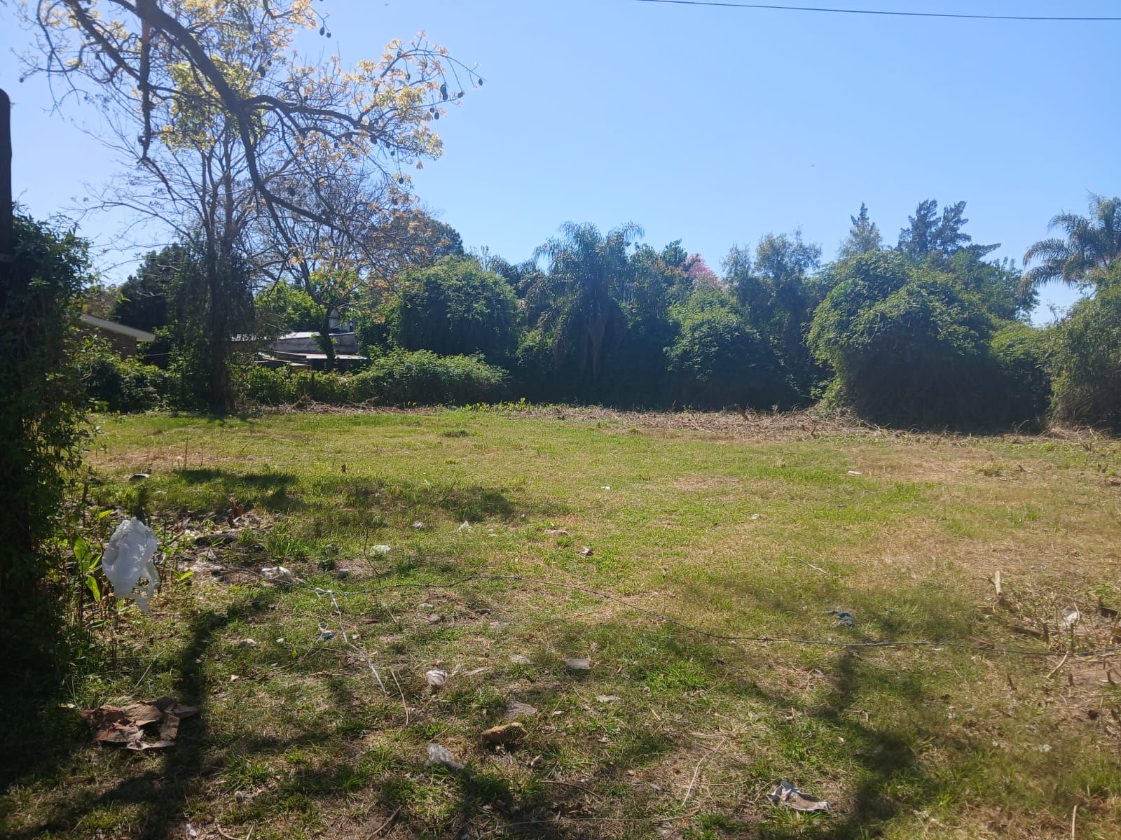 Tres Lotes en San Jose del Rincon