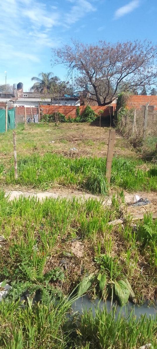 Terreno atras del Supermayorista Vital
