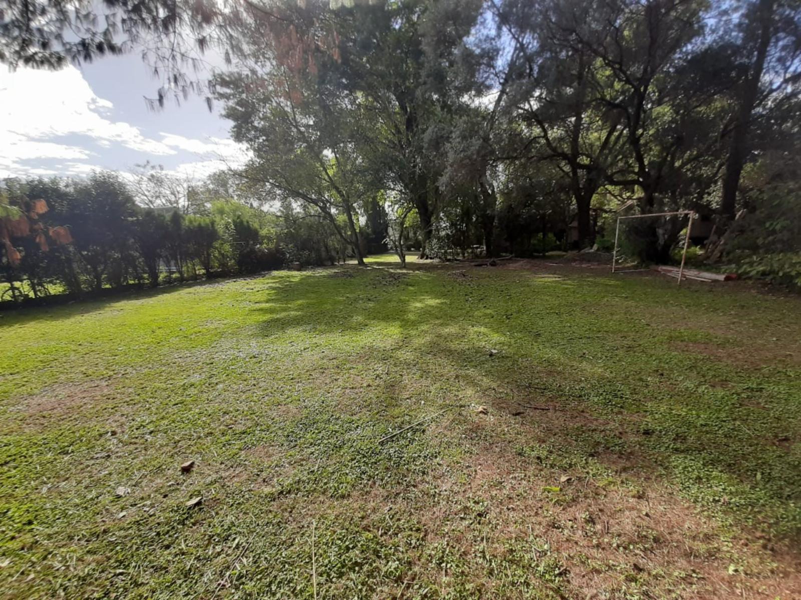 LOTES CON ABUNDANTE Y AÑEJA FORESTACIÓN ALTURA GARITA 15