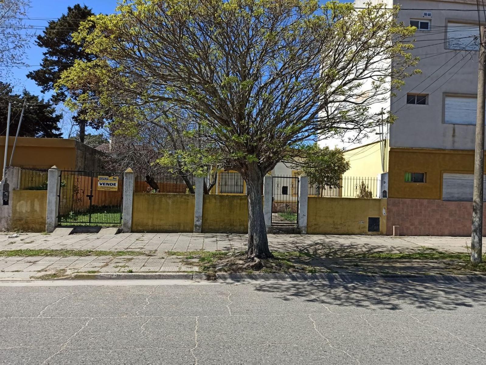 Casa 3 amb Pleno centro