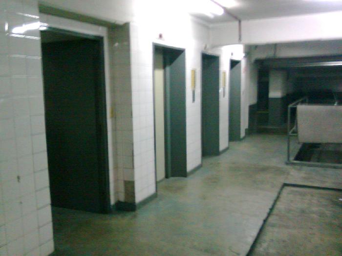 Imagens