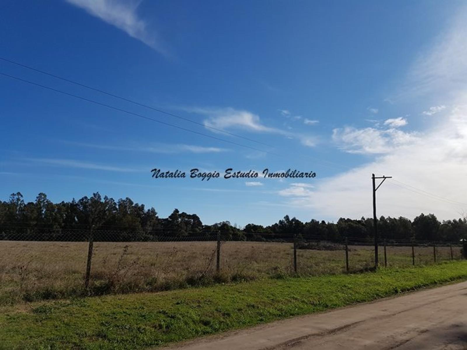 4 HECTARIAS EN MIRAMAR en calle 43 Y 60 (EXCELENTE PARA COMPLEJO DE CABAÑAS)