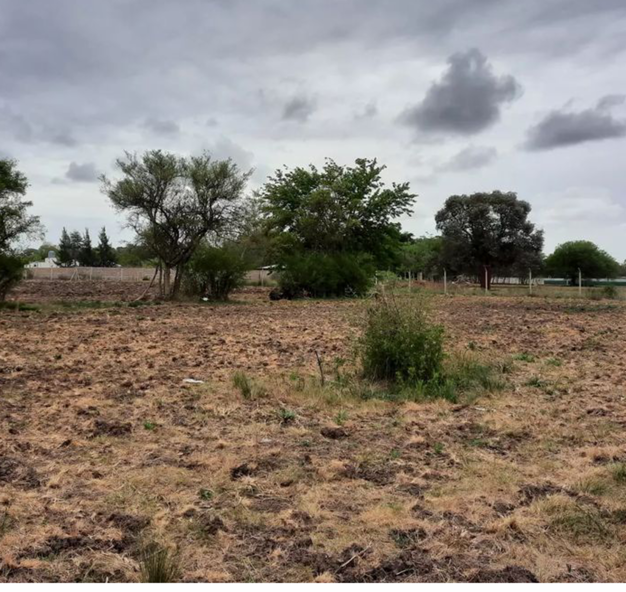 Excelente parcela para quinta.