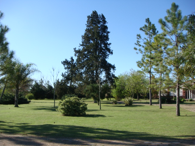 ÚLTIMOS LOTES: Country LA SOÑADA