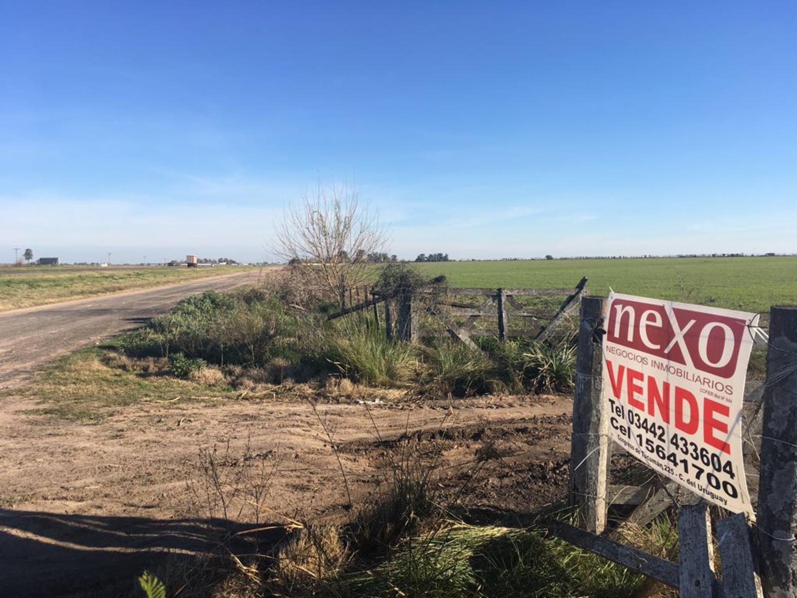 Vendo 8 has con casa, sobre Autovía Nacional 14