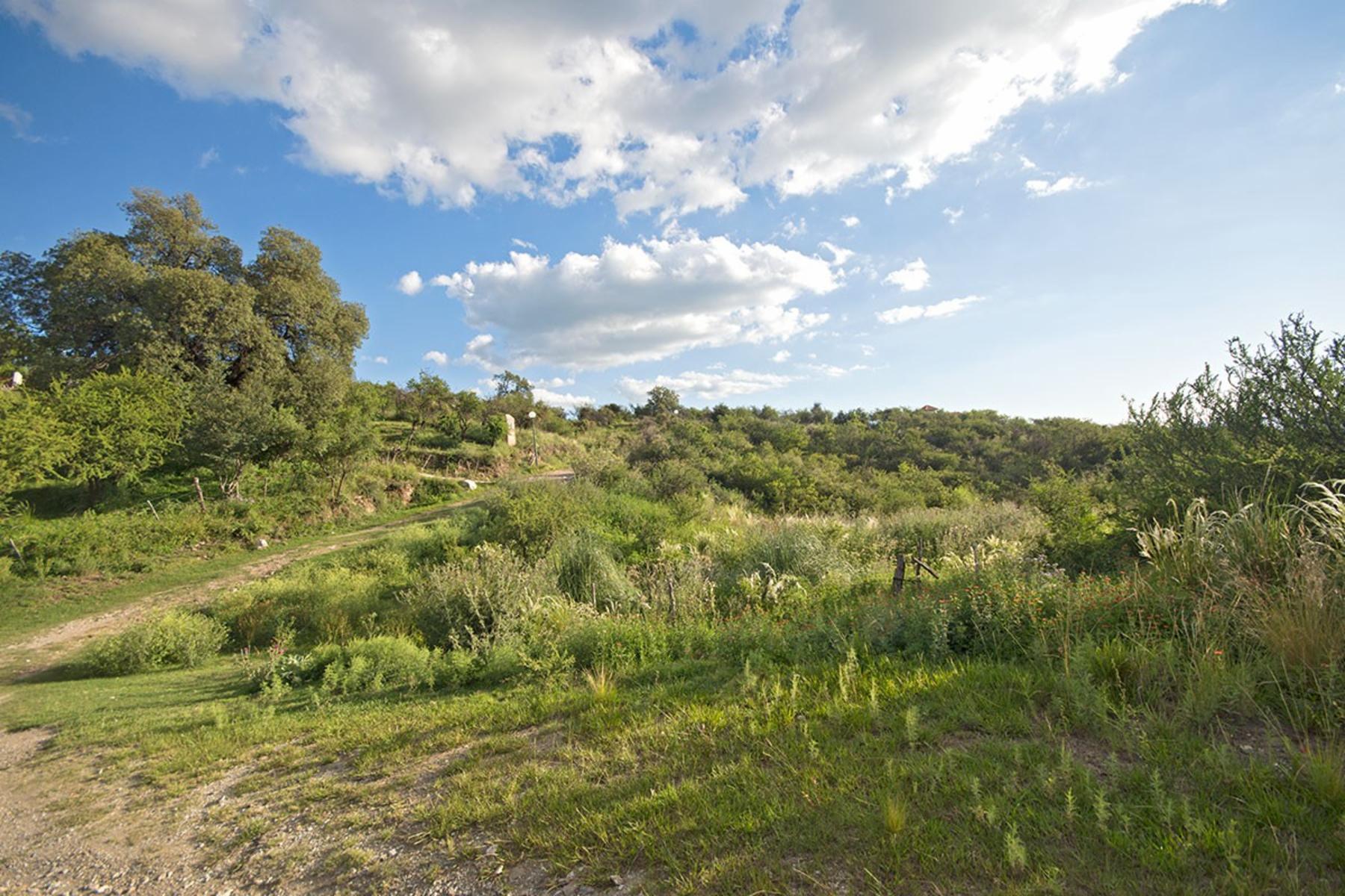 Lote en Los Nogales, Merlo, San Luis 8010 m2