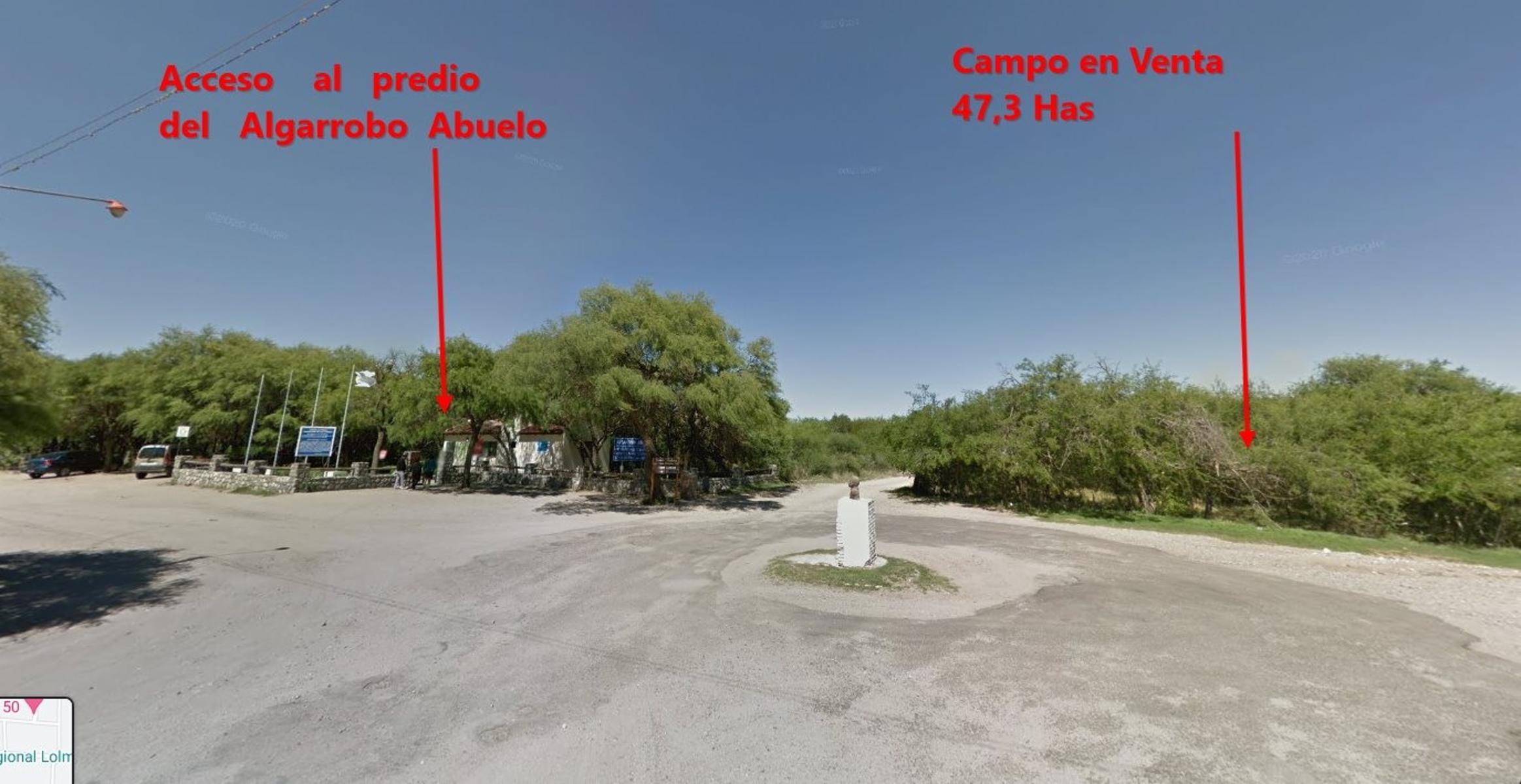 Campo 47 Has. frente al Algarrobo Abuelo Merlo San Luis