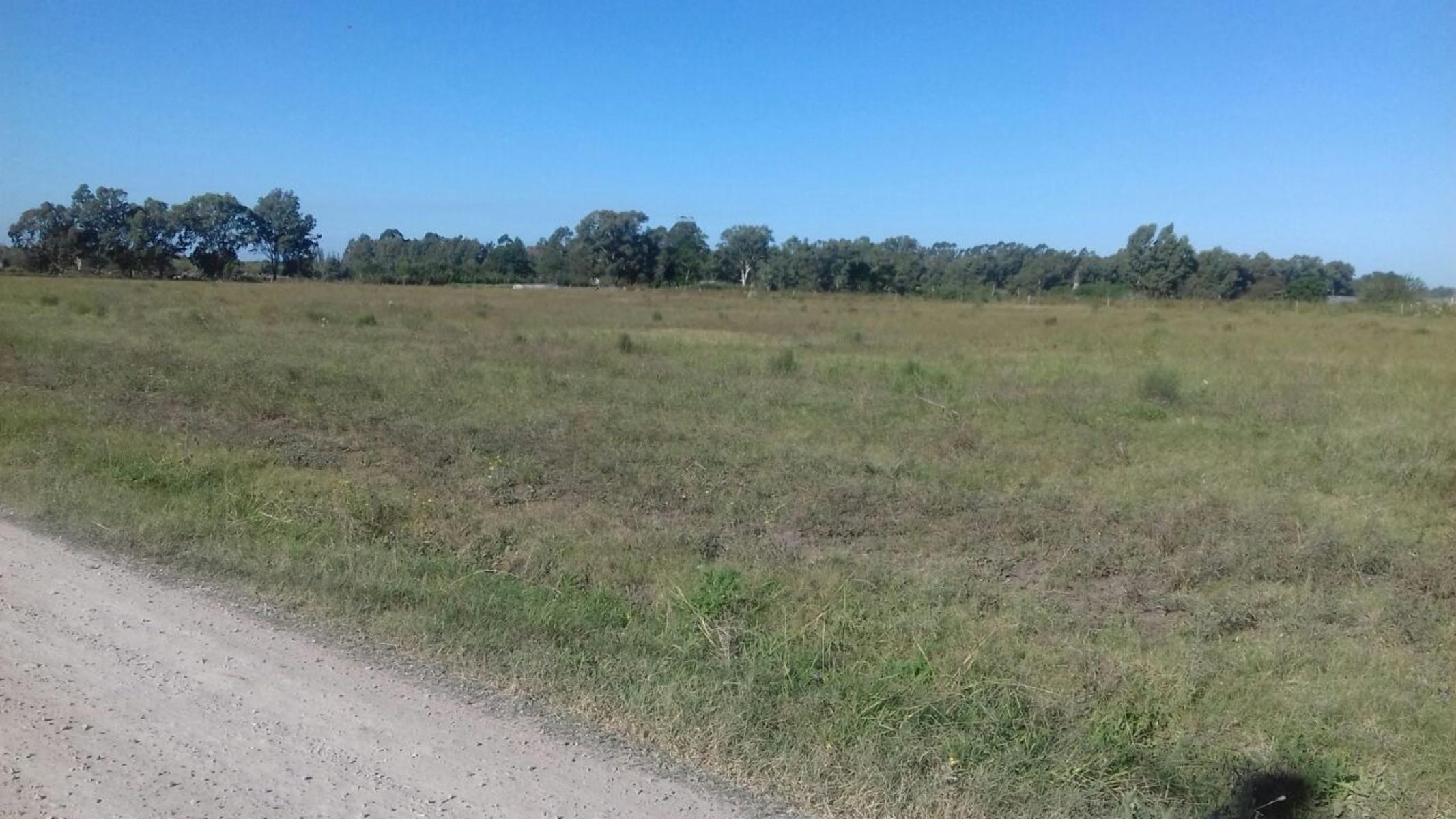 VENTA HECTAREAS BARRIO AEROPUERTO