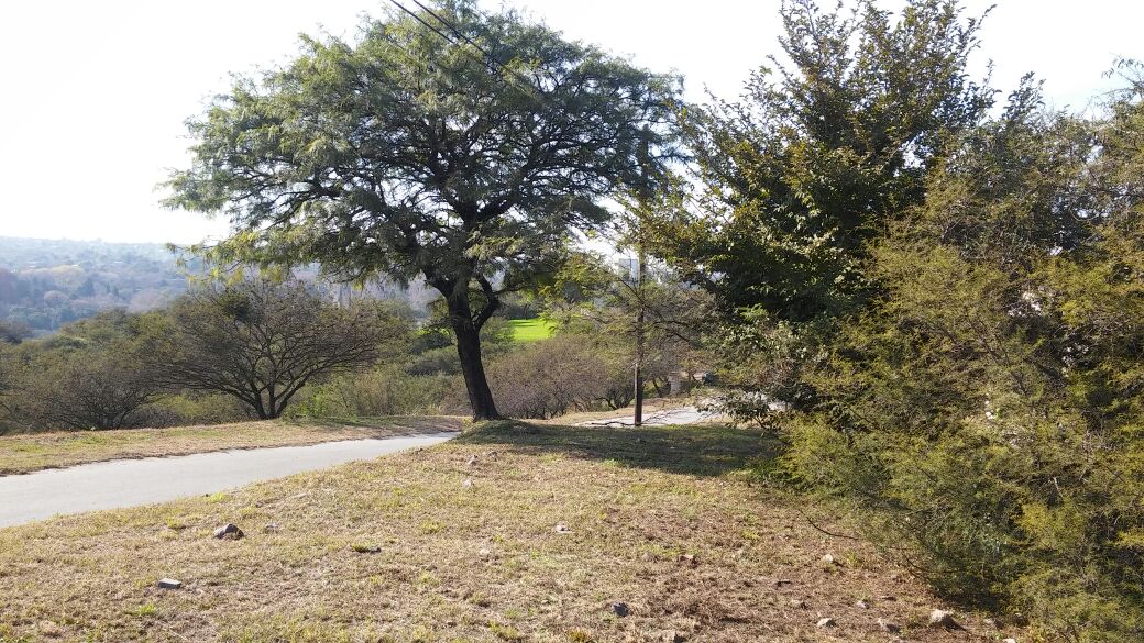 LOS MEJORES LOTES EN CINCO LOMAS