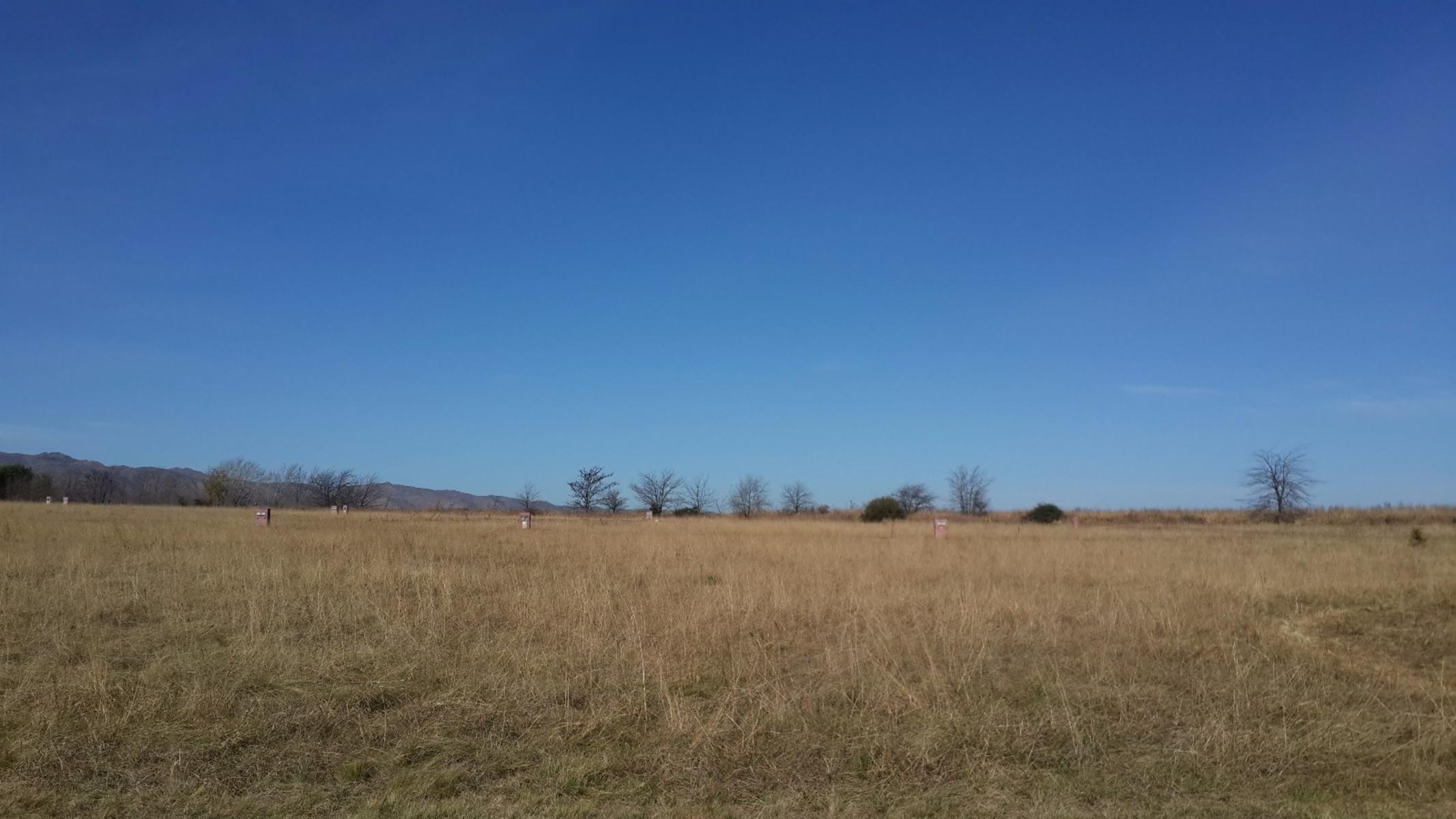 PUNTO CLARO - LOS REARTES