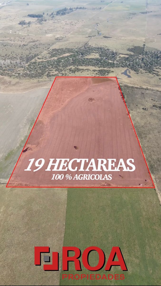 Campo de 19 hectareas 100 Agricolas - Concepcion del Uruguat - Entre Rios