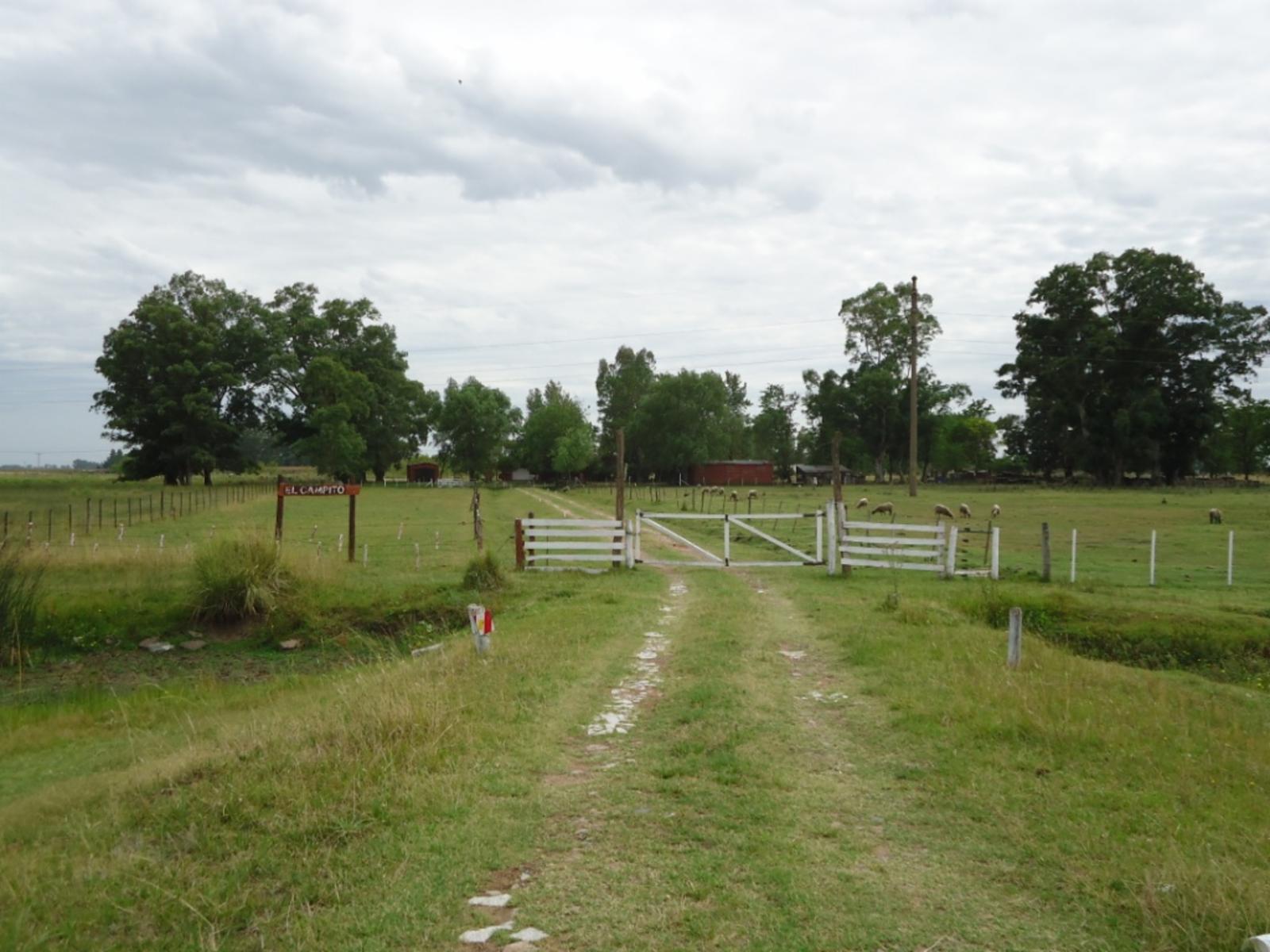 Chacra 4 HAs en Las Flores