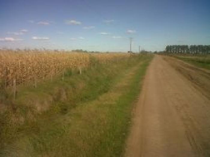 Images