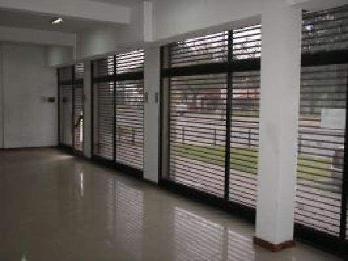 Imagens