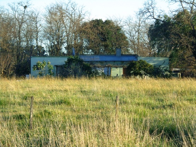 Campo Las Flores, 46 has