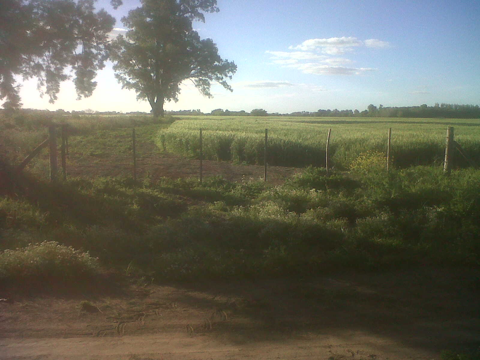 Campo 40 has en Lobos