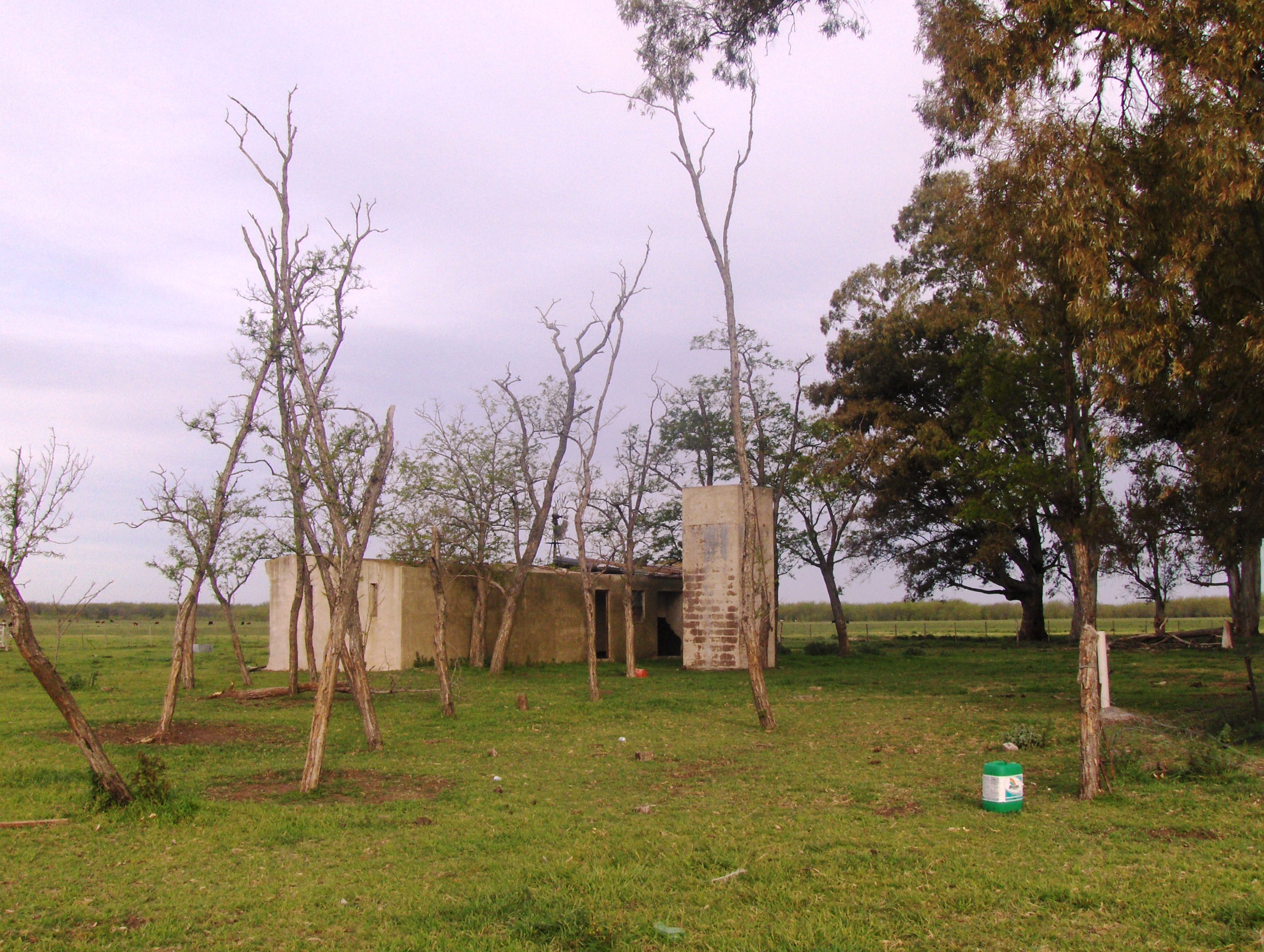 Campo 245has en Las Flores