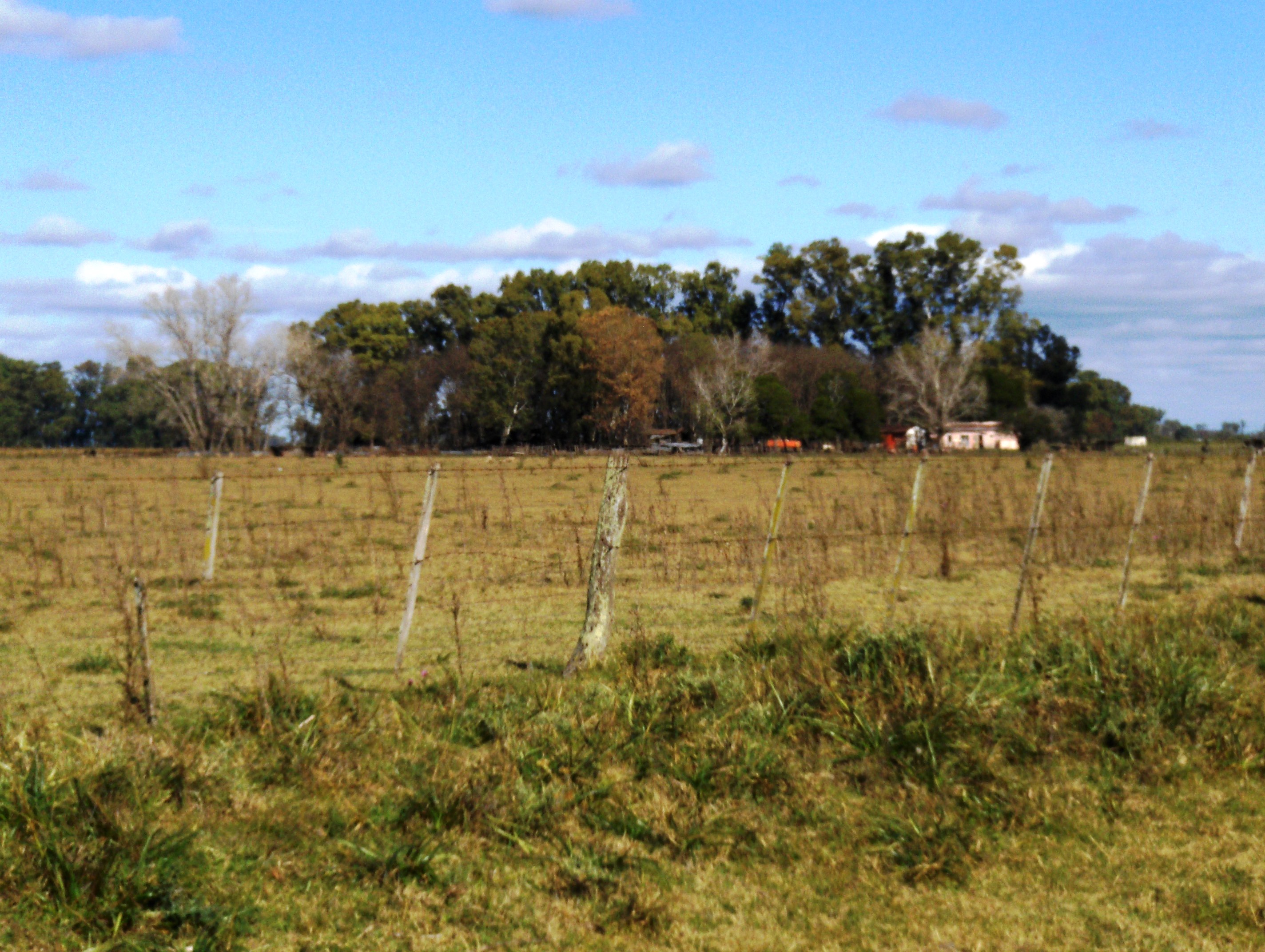 Campo 22 has Las Flores