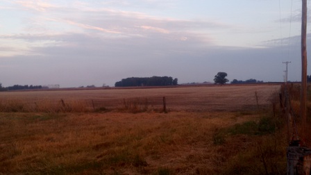 Campo en Pedernales 24 Has