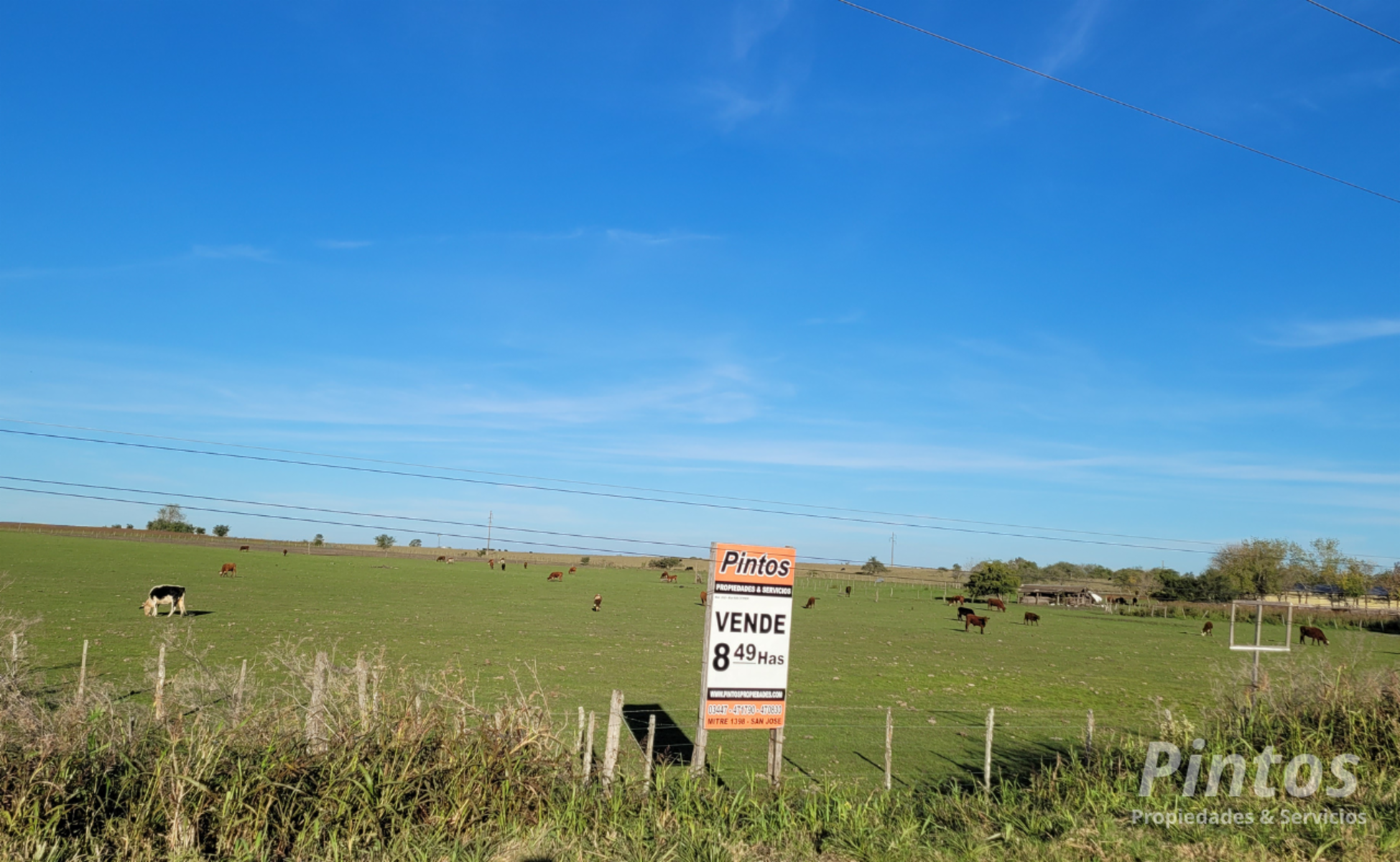 8.49 Has.sobre colectora Autovia Ruta 14. EJIDO COLON. DEPARTAMENTO COLON.