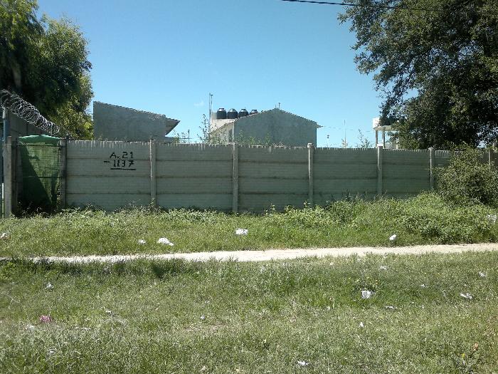 Imagens