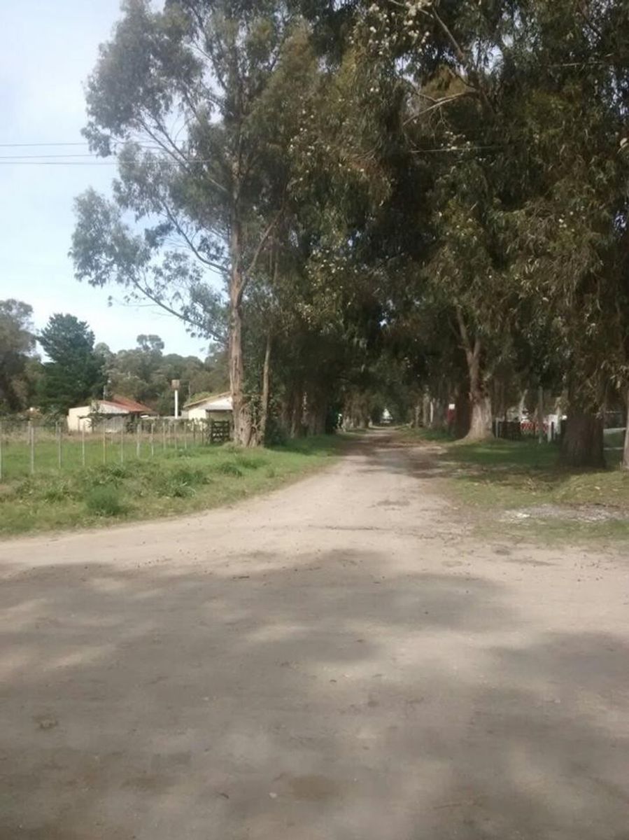 GRAN OPORTUNIDAD LOTE / TERRENO DE 195 M2