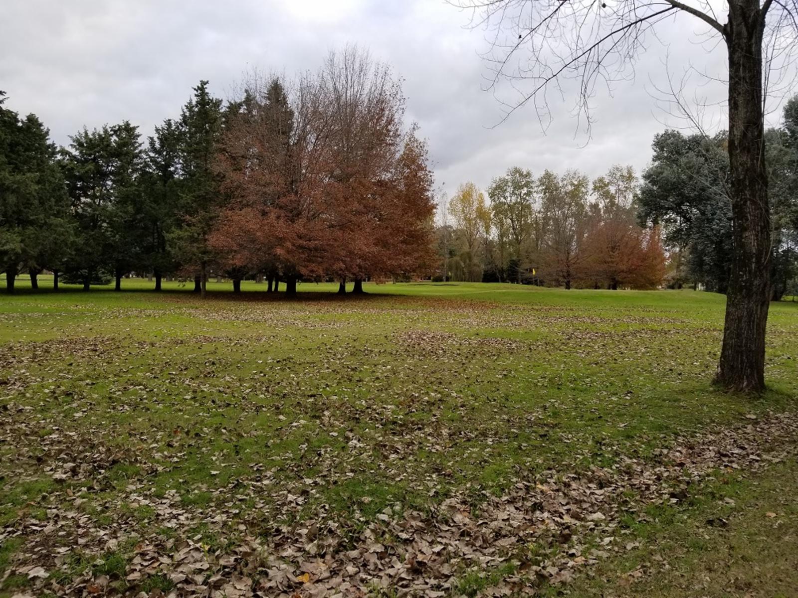 UNICO APTO EMPRENDIMIENTO DESARROLLO RESIDENCIAL URBANO 2 HECTAREAS  CON POSIBILIDAD DE AMPLIAR  HSTA TRES HECTAREAS Y MEDIA - SERVICIOS COLEGIOS SOBRE RUTA MORENO