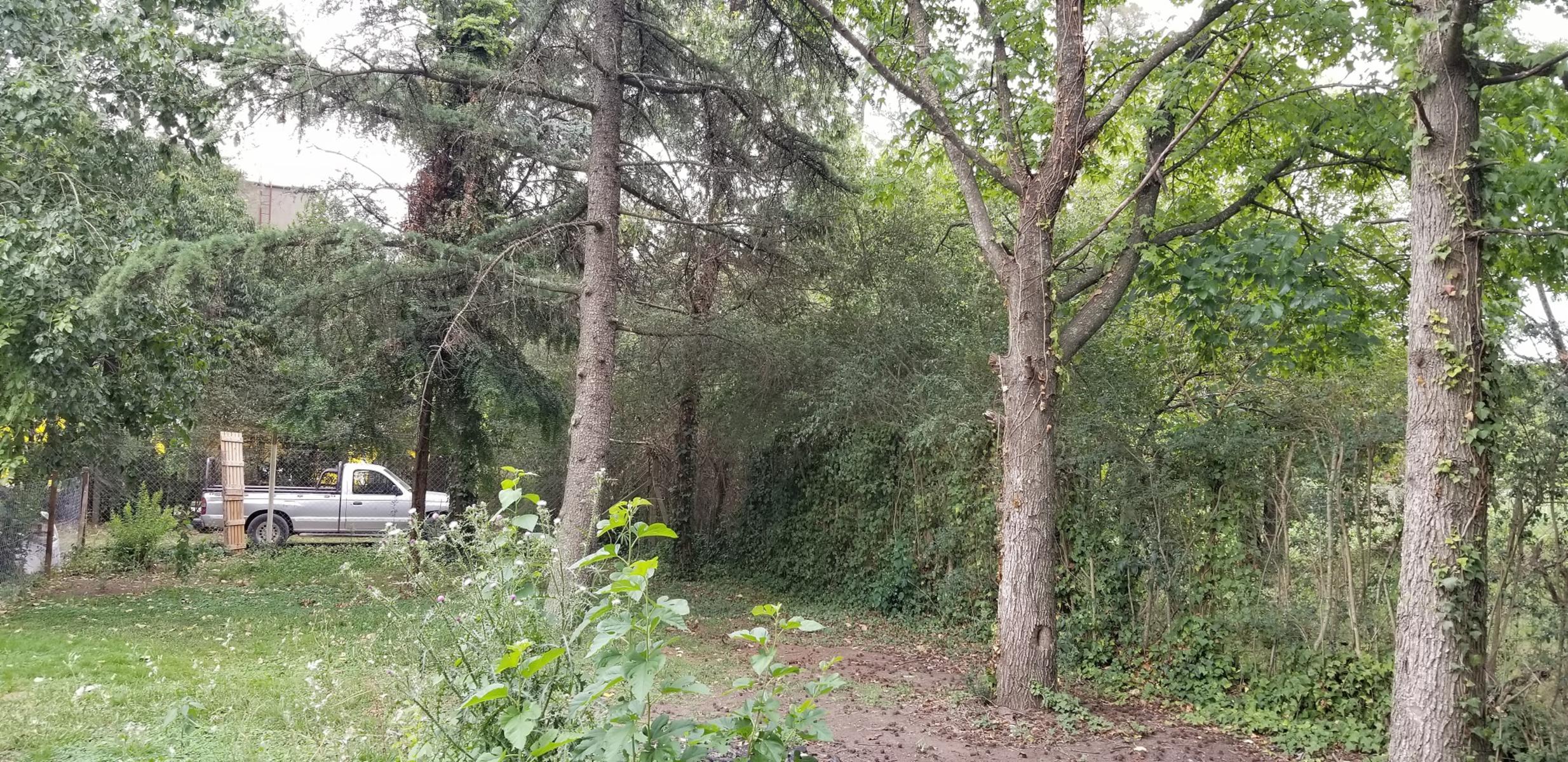 LOTE  CERCADO Y ARBOLADO 350 m2.LA REJA zona residencial gas natural con escritura