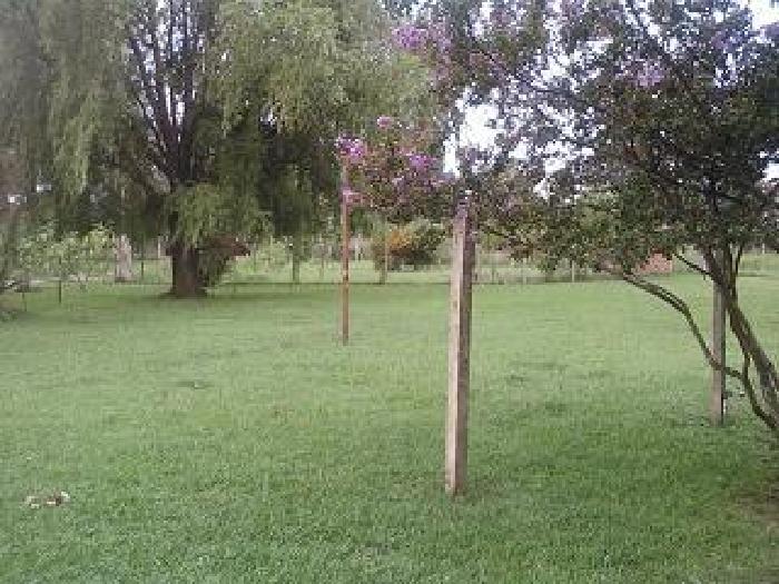 Images