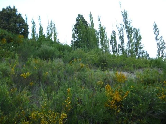 Terreno en Venta en San Martín de los Andes, Lacar, Neuquén