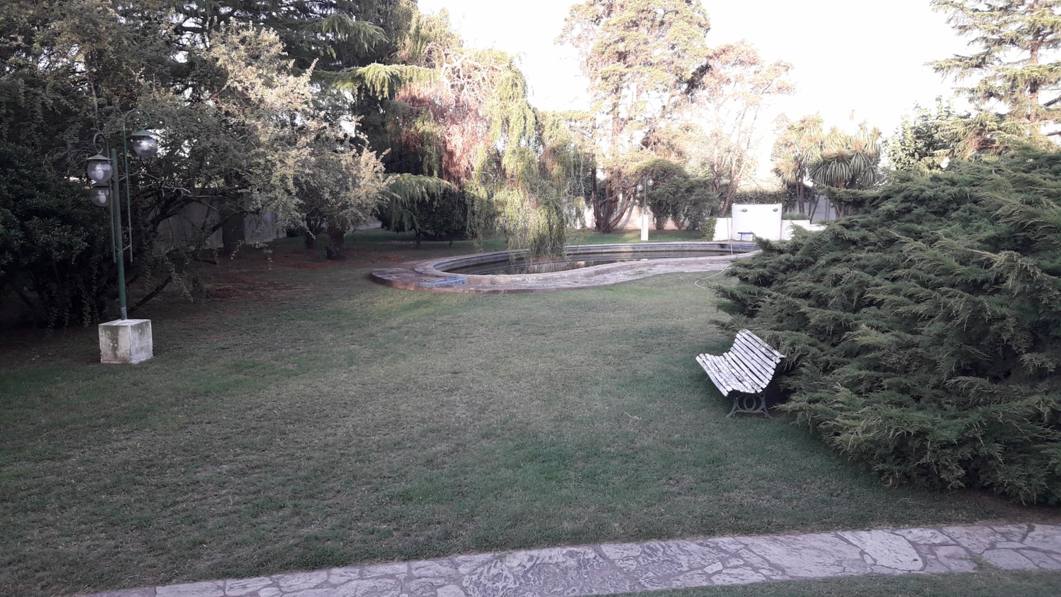 Imagens