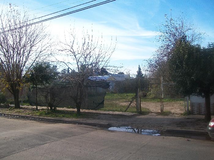 Imagens