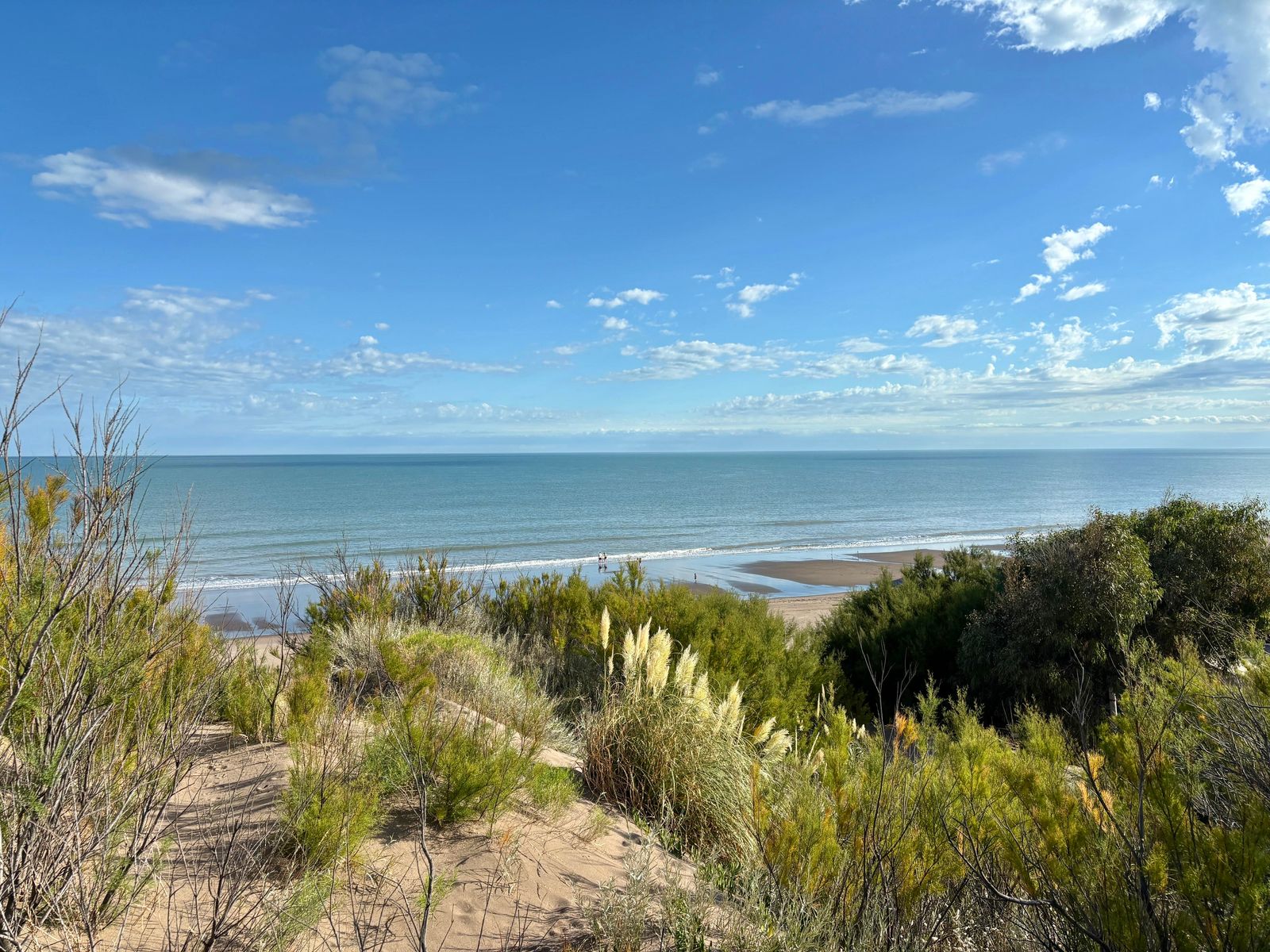 TERRENO FRENTA AL MAR SAUCE GRANDE