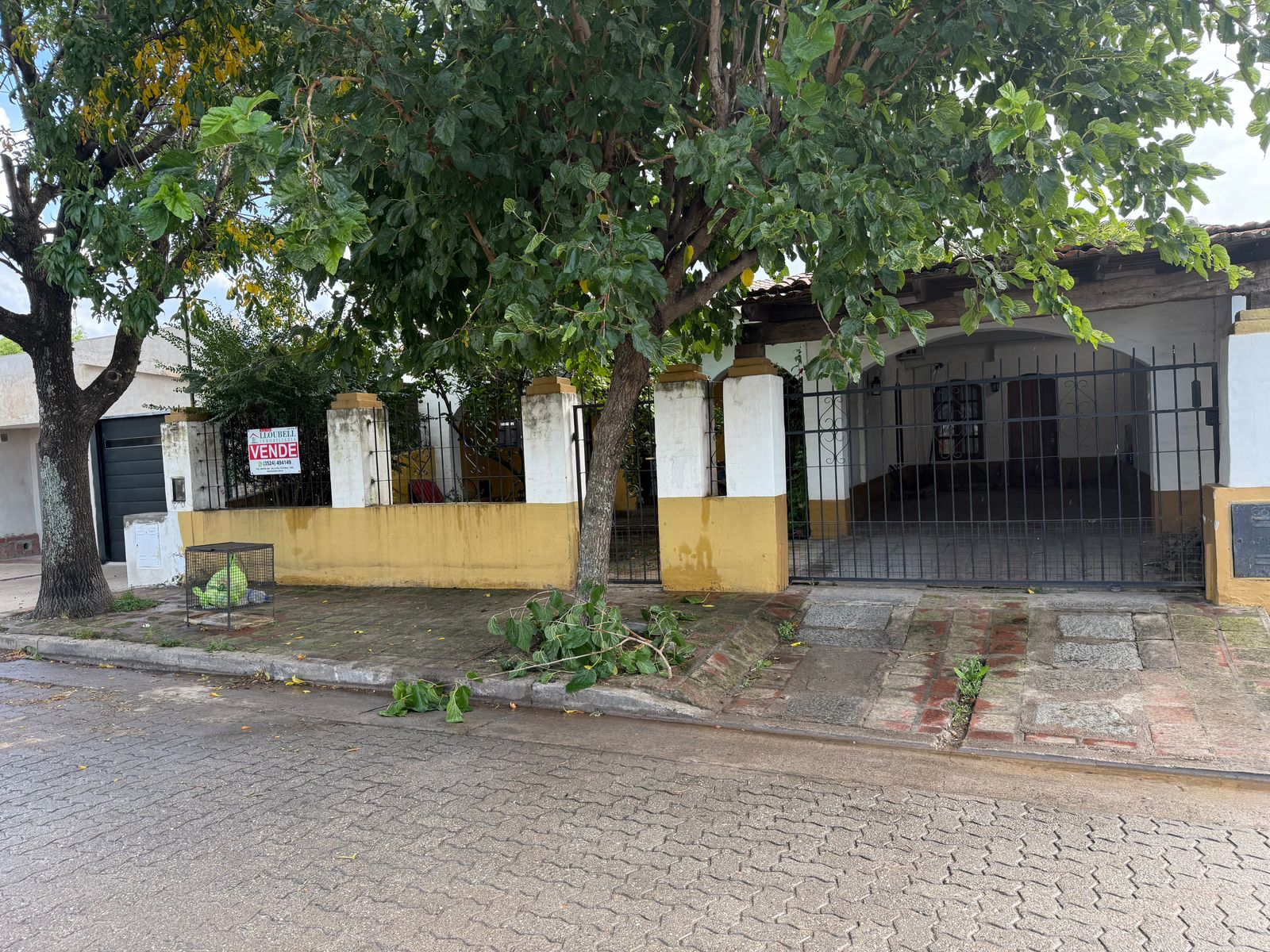 Imágenes