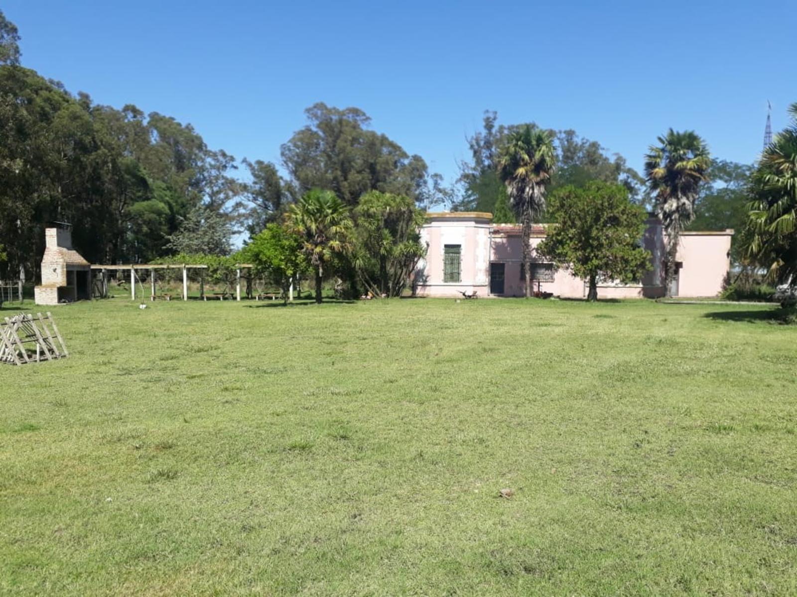 CAMPO CHACRA 12 HECTARIAS. PDO. LOBERIA