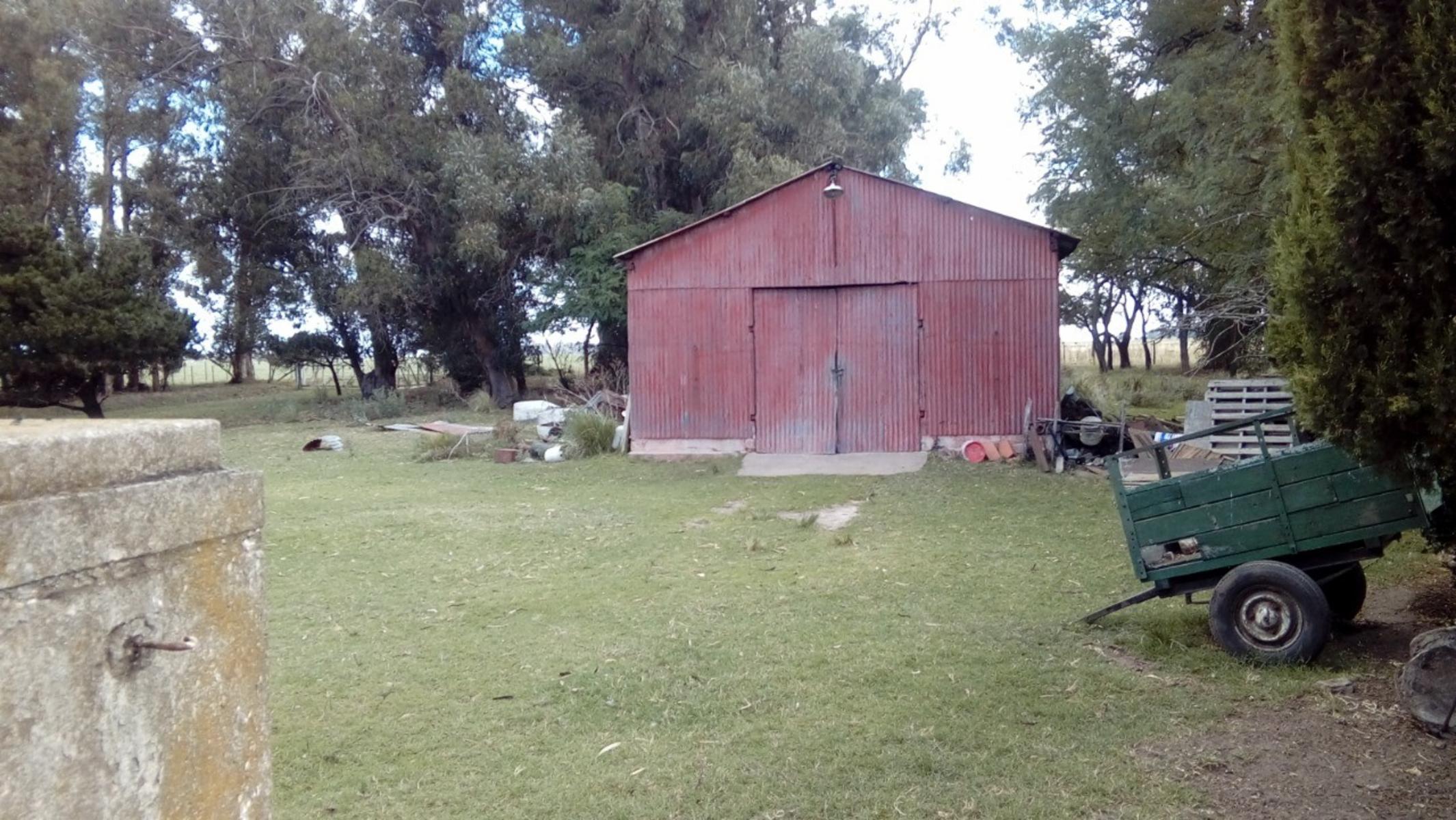 Imágenes