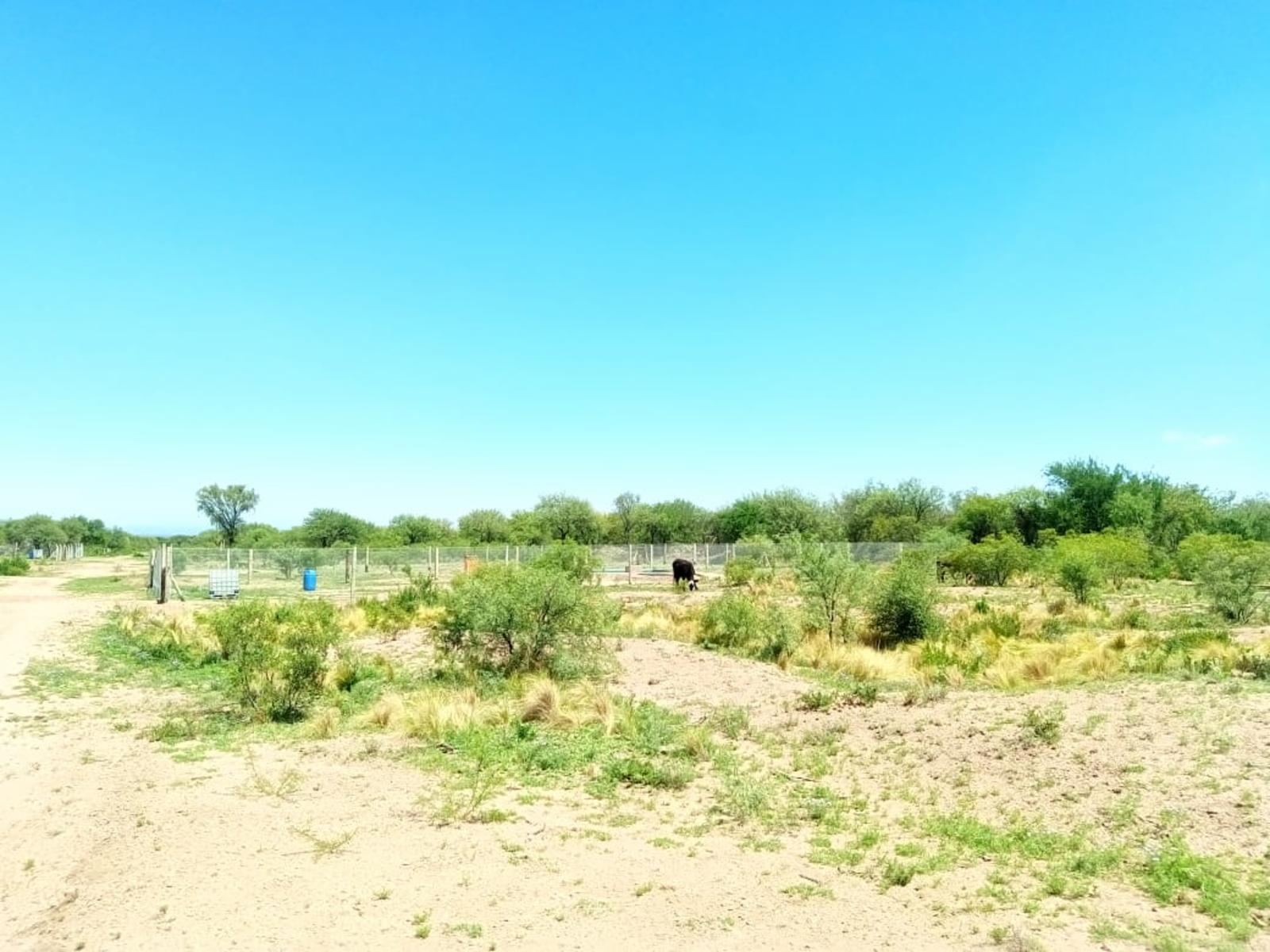 LOTES EN VENTA SOBRE RUTA 3 VILLA LA QUEBRADA