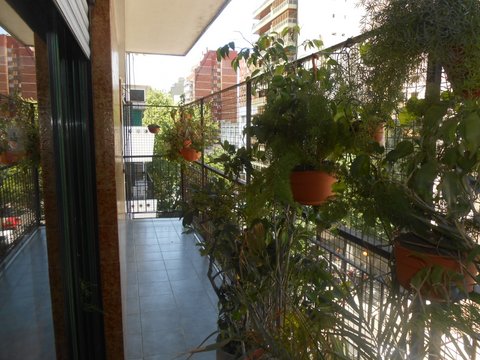 Imágenes