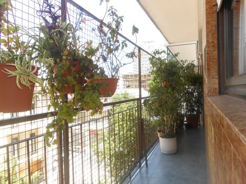 Imágenes