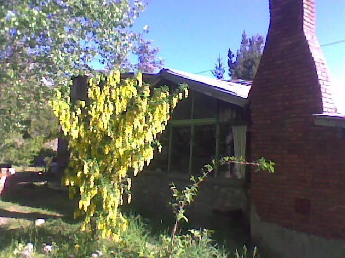 Images