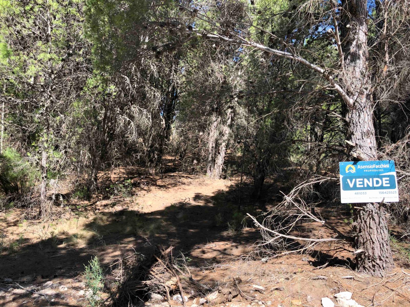 Lote en Pinar del golf