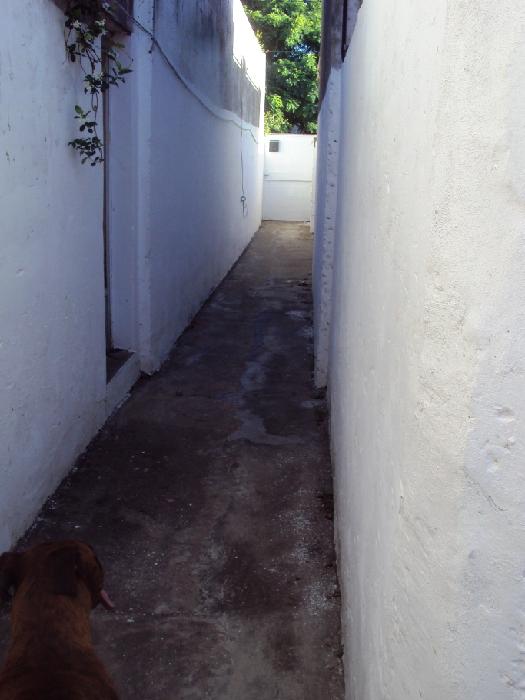 Images