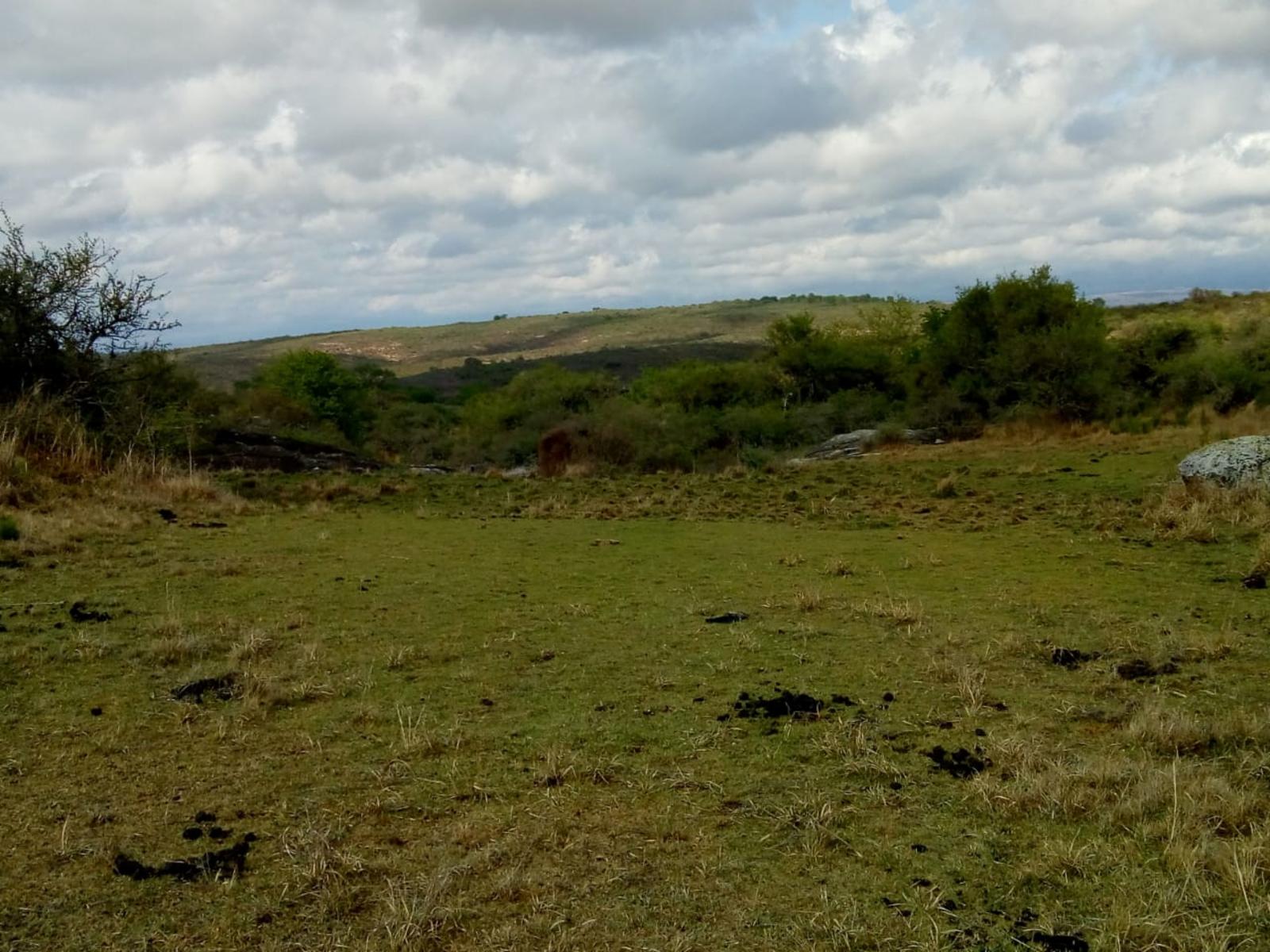 N°de ref 1225- Hermoso terreno en Bialet Masse a 800mts aprox. del Rio Mallín