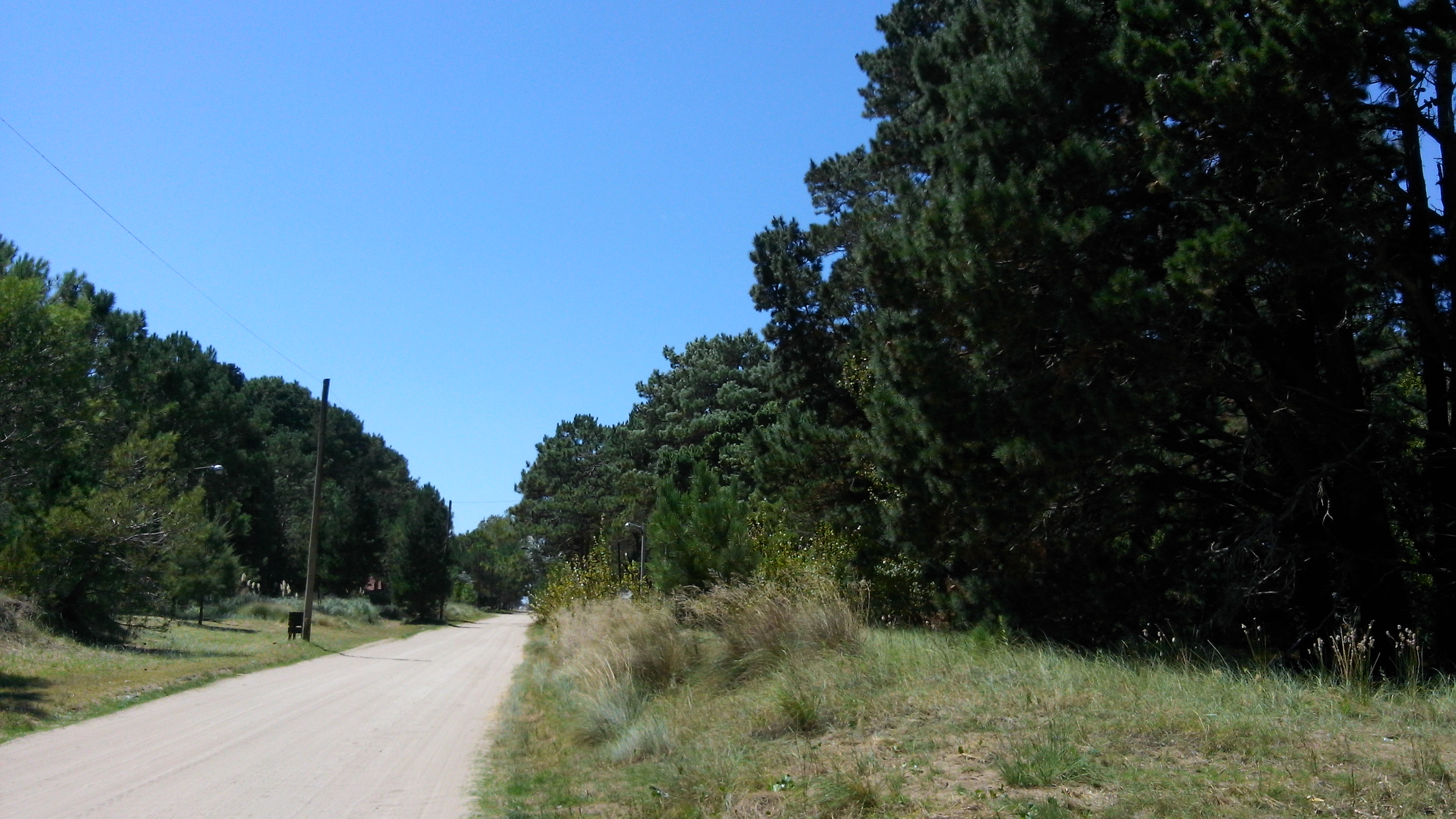 Lote en Costa del Este, 502 m2 c/ mas de 20 pinos excelente ubicacion 