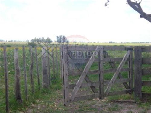 Campo Agricola en Concordia Entre Rios 170 hectareas 